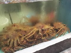 -鸿星花园酒家(银亿家园店)