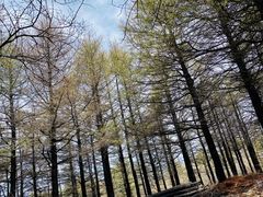 -白草畔自然风景区