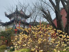 -雪峰寺