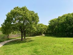-同里国家湿地公园