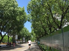 -浙江越秀外国语学院