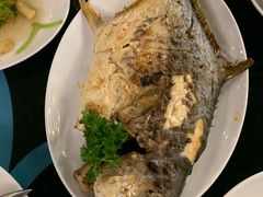 -Pho Hoa Pasteur