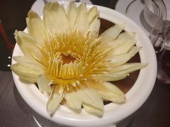 莲花鸡汤-甄御•海鲜新青岛菜(麦岛店)