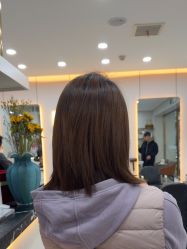 -YESIDO椰岛造型