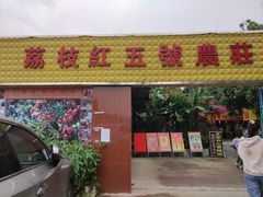 -荔枝红五号农庄