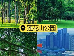 -顺德公·广东猪肚鸡(车公庙总店)