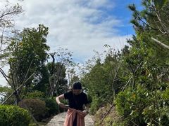 -清境桃源