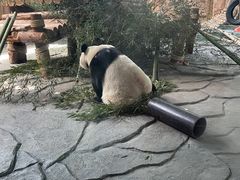 -泉州海丝野生动物世界