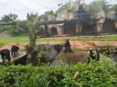 -海南热带野生动植物园