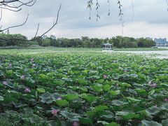 -云龙湖旅游景区