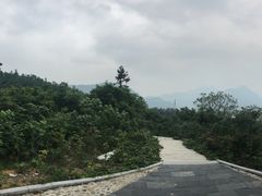 -天花井景区