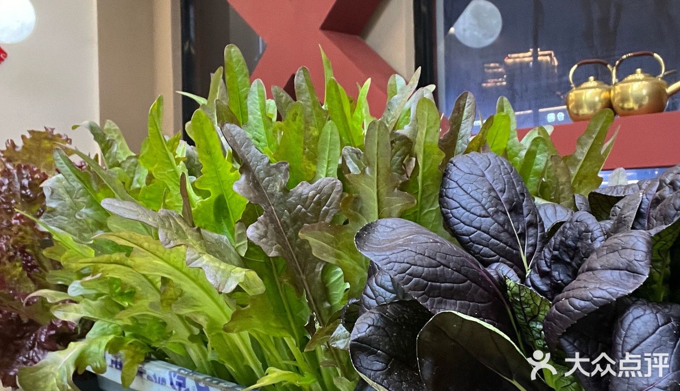 潮汕牛肉火锅是越来越火了