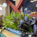 潮汕牛肉火锅是越来越火了