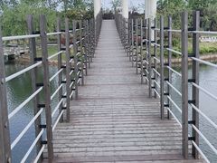 -上海鲜花港
