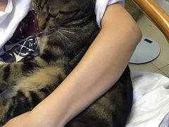 -梧桐栖·养生·spa