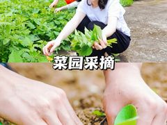 -沉浸北京·团建旅行·密室剧本杀·年会会议轰趴拓展