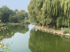 -大兴滨河森林公园