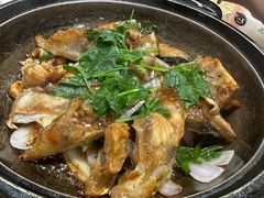 -石岐乳鸽村(南海第三分店)