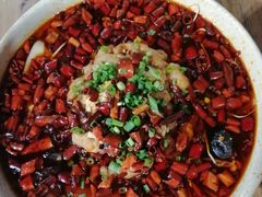 -小杨烤肉(朱雀店)