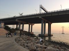 -宝安西湾红树林湿地公园