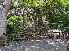 -海南槟榔谷黎苗文化旅游区