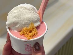 -红楼HONGLOU Gelato(淮海中路店)