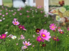 -186彩带河