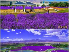 -炳灵寺世界文化遗产旅游区