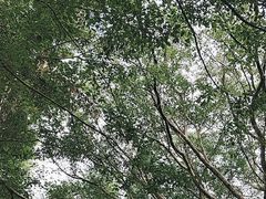 -海南热带野生动植物园