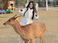 -盈香心动乐园