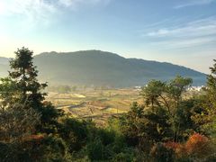 -塔川景区