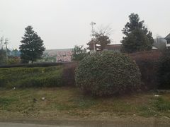 -句容茅山景区