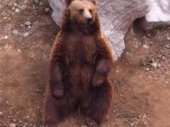 -石家庄市动物园