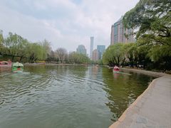 -团结湖公园