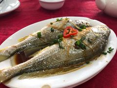 清蒸黄花鱼-蛇口康乐快餐鱼仔档(翠苑小区店)