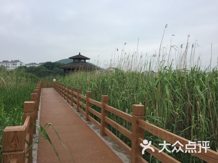 阳山荡公园图片 - 第2张