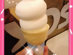 双球香草冰激凌-DQ(西苑店)