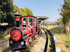 -武汉紫薇都市田园