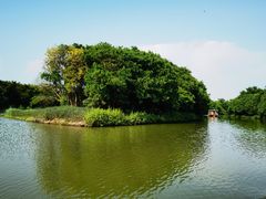 -大湾区中央湿地公园