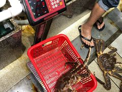 阿拉斯加长脚蟹-蚝专家(北滘店)