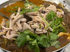 -余杨鸭鸭餐厅