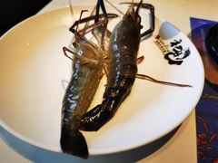 罗氏虾-初色海鲜自助(朝阳北路店)