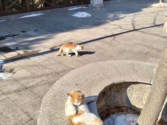 -四门塔风景区