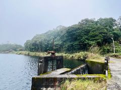 -海南热带雨林国家公园吊罗山景区