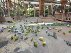 -南宫五洲植物乐园