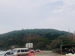 -上海佘山国家森林公园东门地面停车场