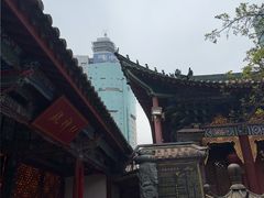 -真庆观