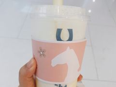 -春丽小马(济南恒隆广场店)