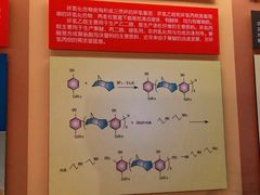 -大庆石油科技馆