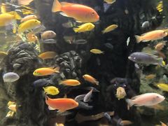 -太平洋海底世界